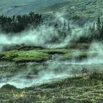 Michele Oberbrunner