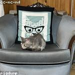 Peter Stiedemann